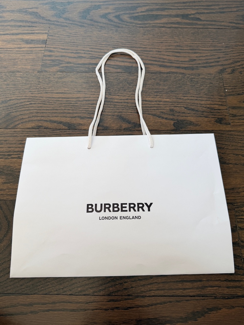 Burberry Small Shopping Gift Bag 12" x 8" | Authentic Luxury Boutique Tote
